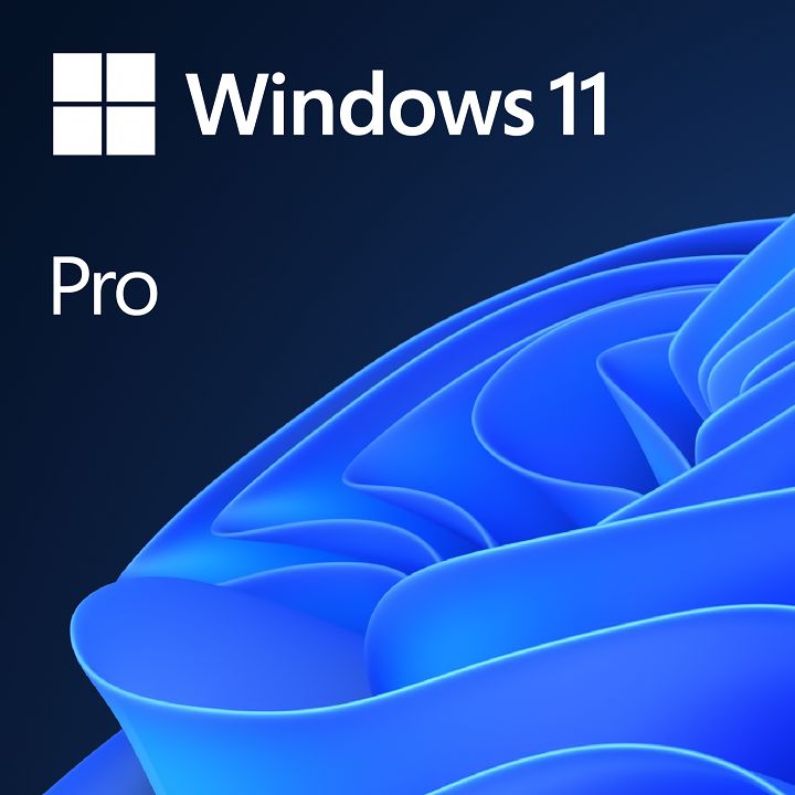 Microsoft Windows 11 Pro 64bit 1pk Pt Oem