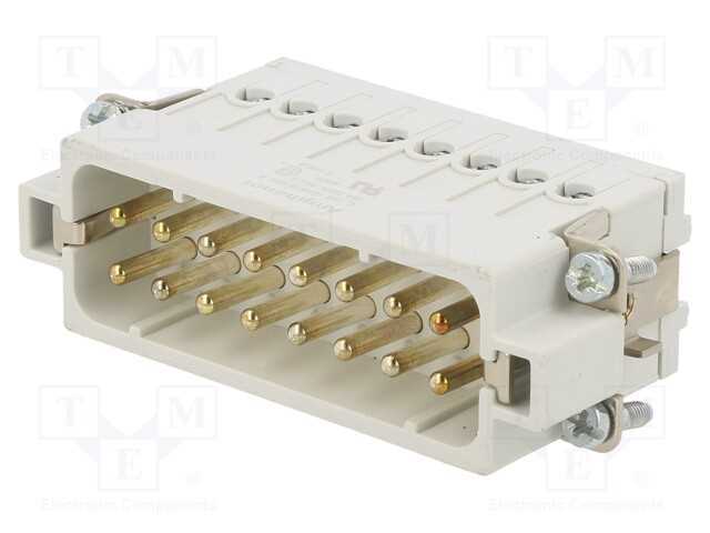 Conector: HDC, inserto de contatos, macho, C146, .