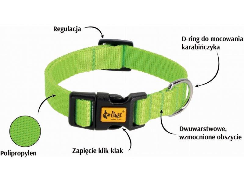 Dingo Energy Green - Dog Collar - 31-49 Cm