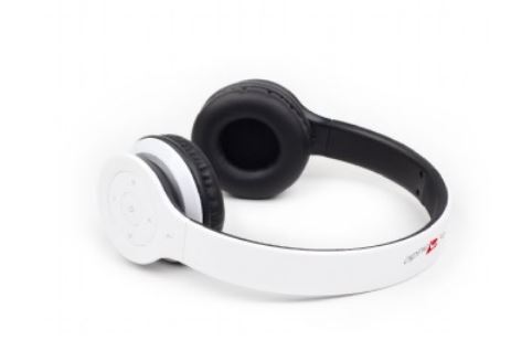 Gembird Bhp-Ber-W Headphones/Headset Wireless Head-Band Calls/Music Bluetooth White