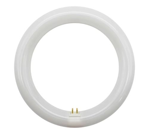 Lampada LED Circular 22w 6500k